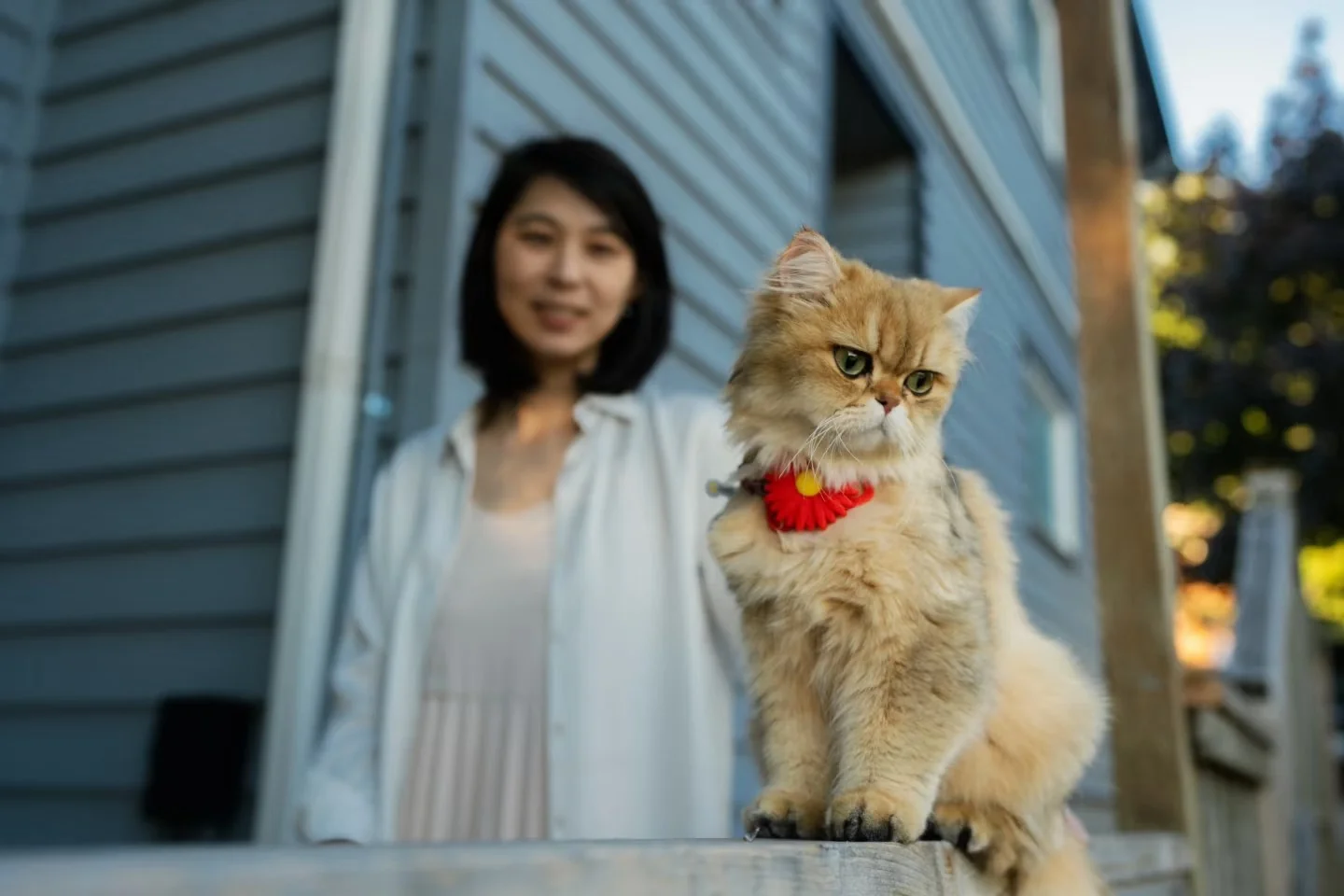 An orange cat sitting on a porch railing with a woman behind it