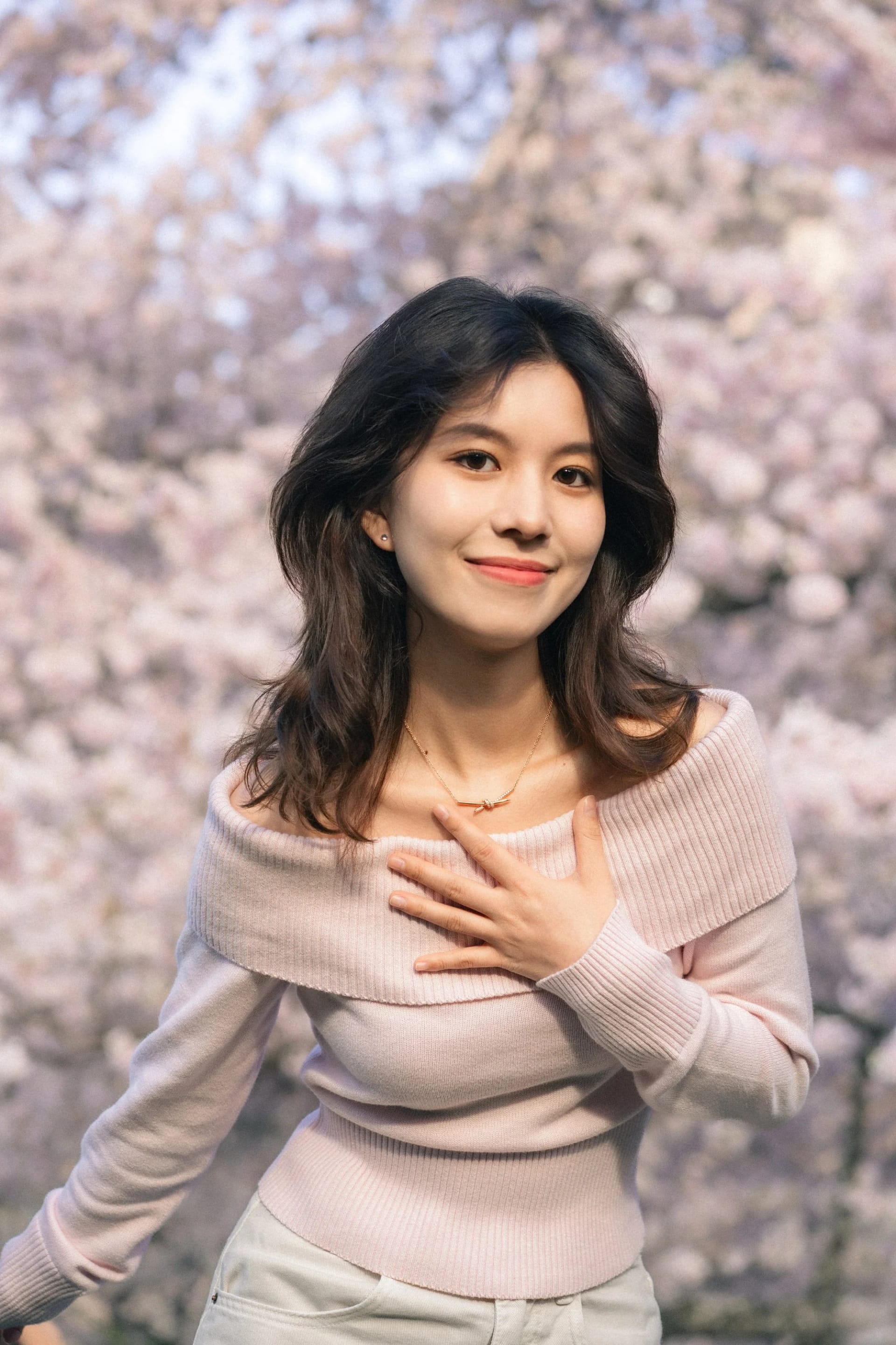 Cherry Blossom - Image 1