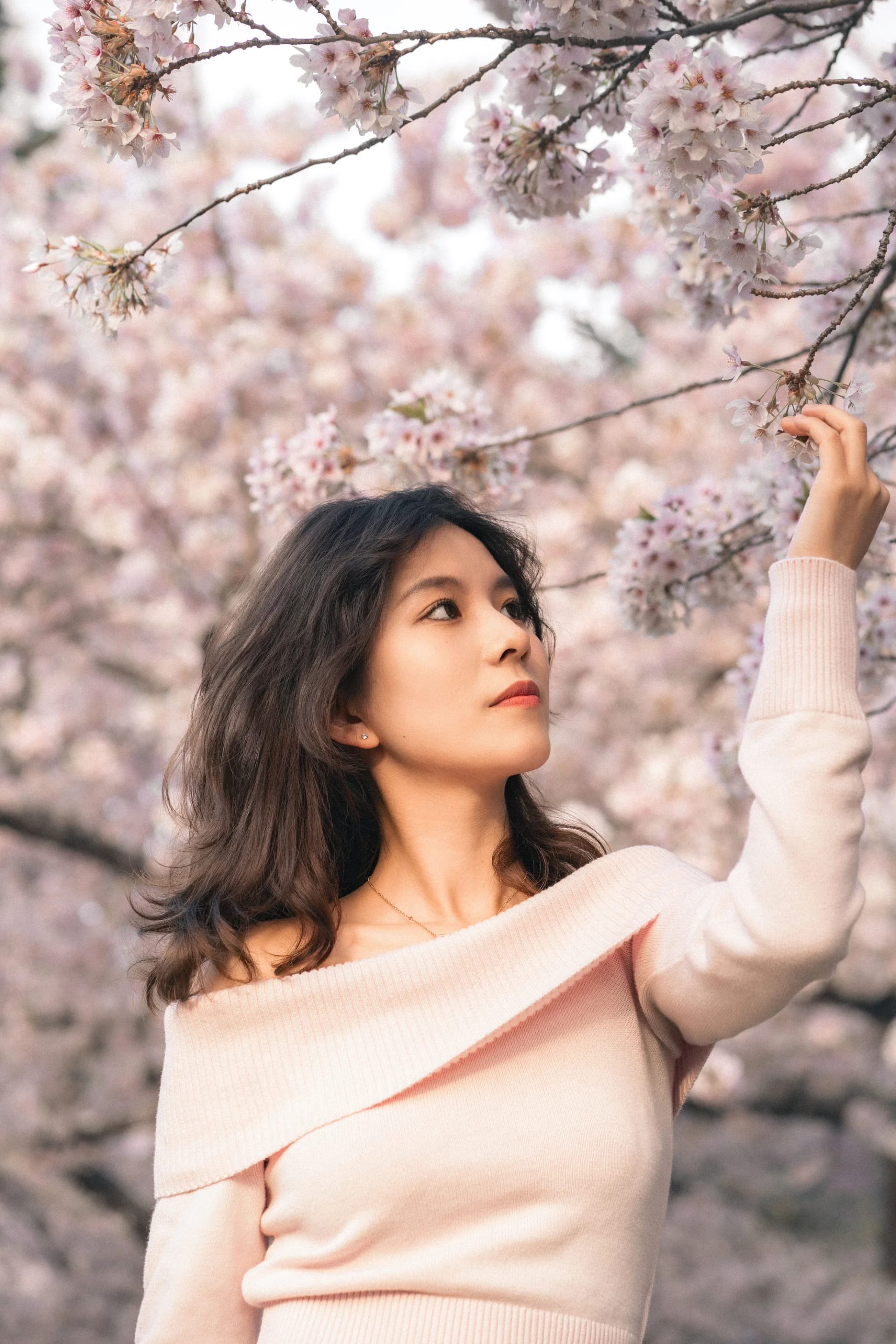 Cherry Blossom - Image 2