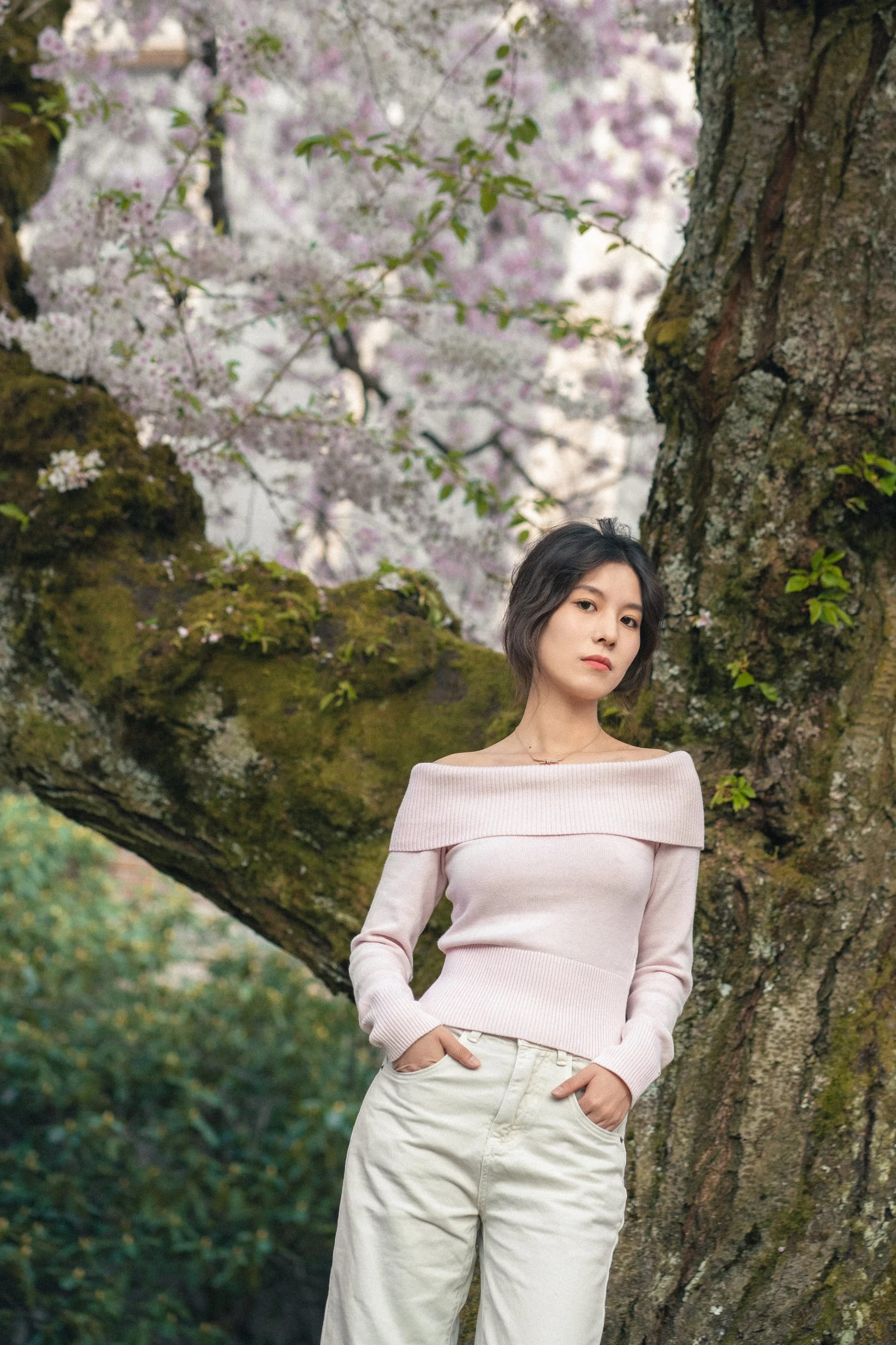 Cherry Blossom - Image 5