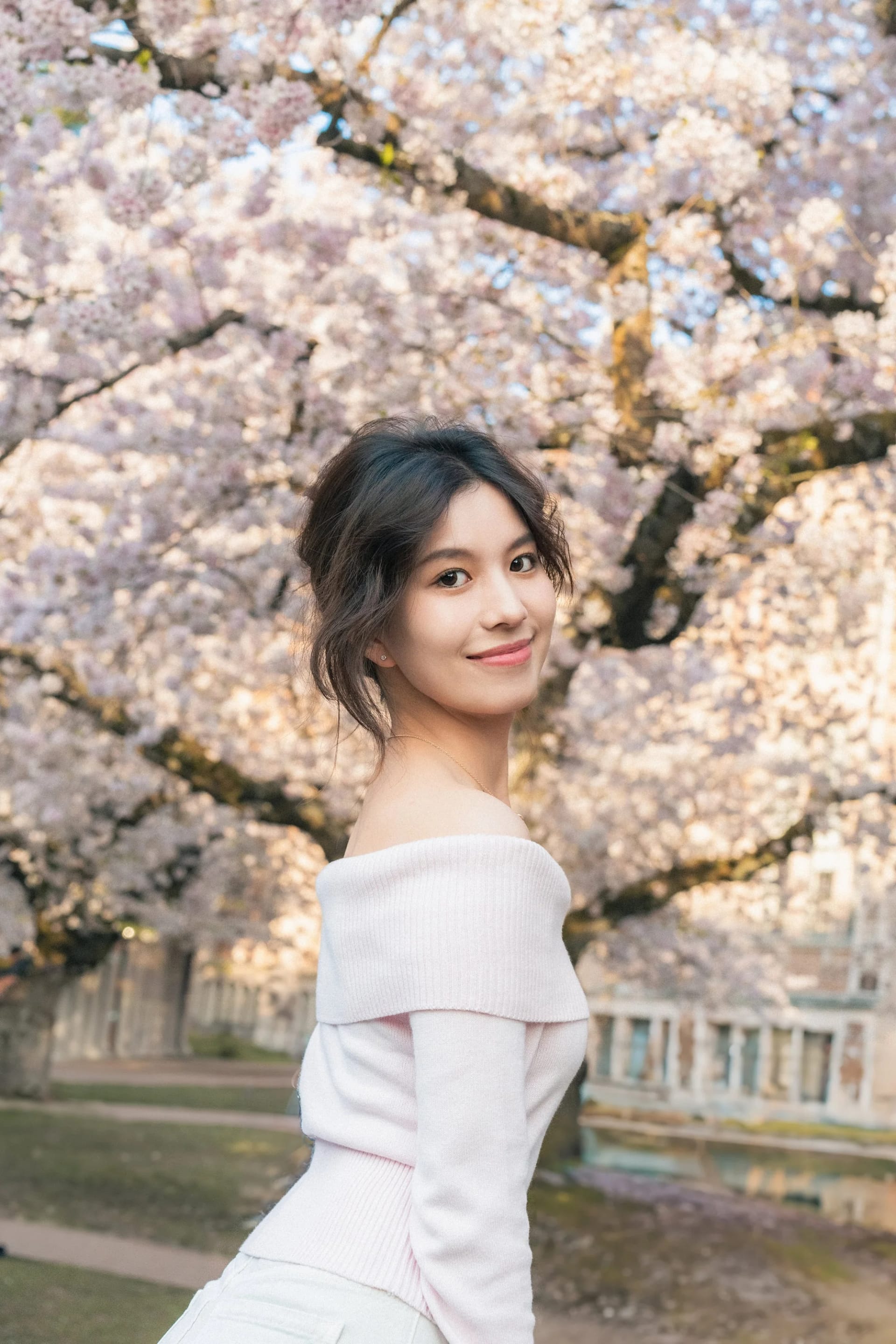 Cherry Blossom - Image 6