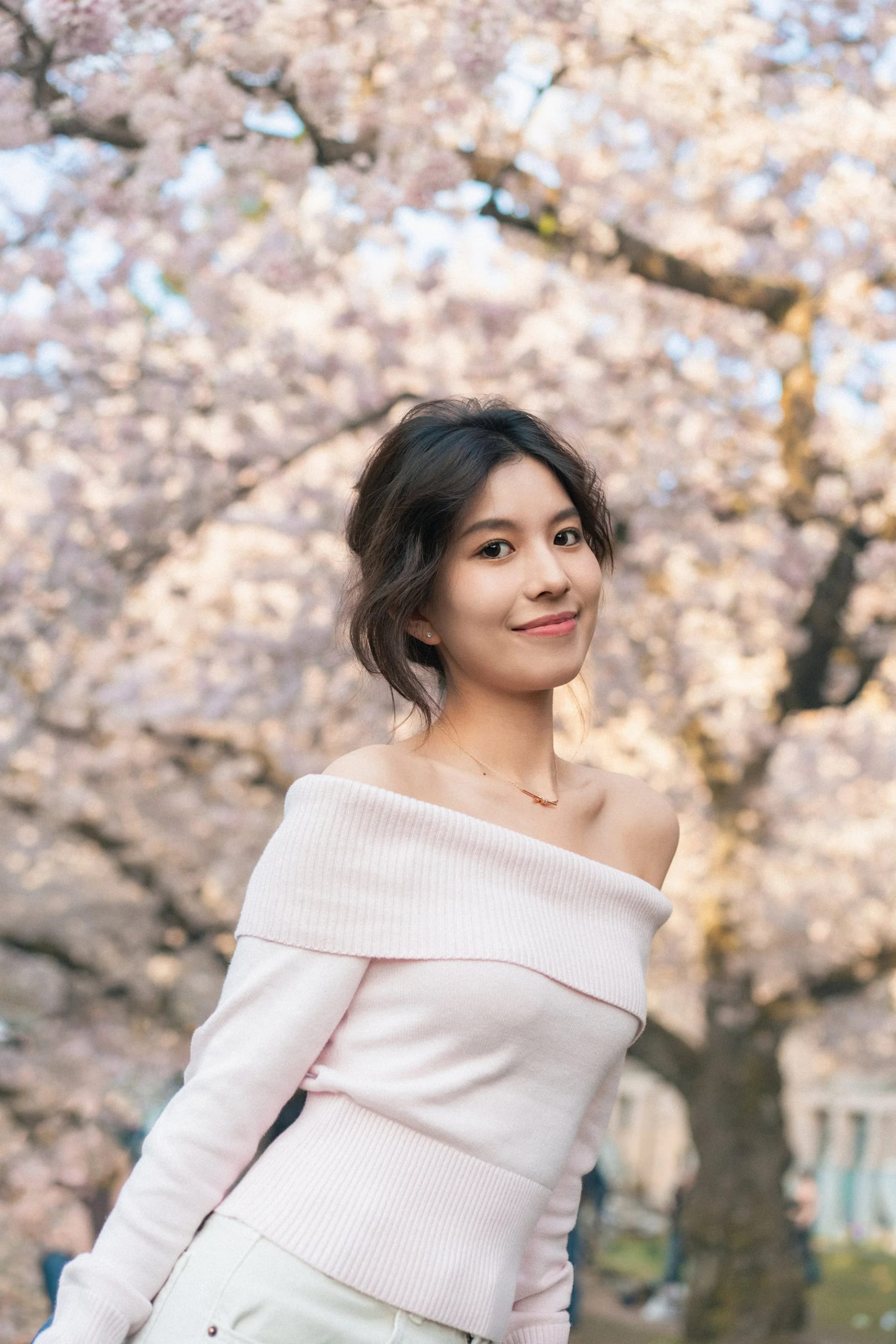 Cherry Blossom