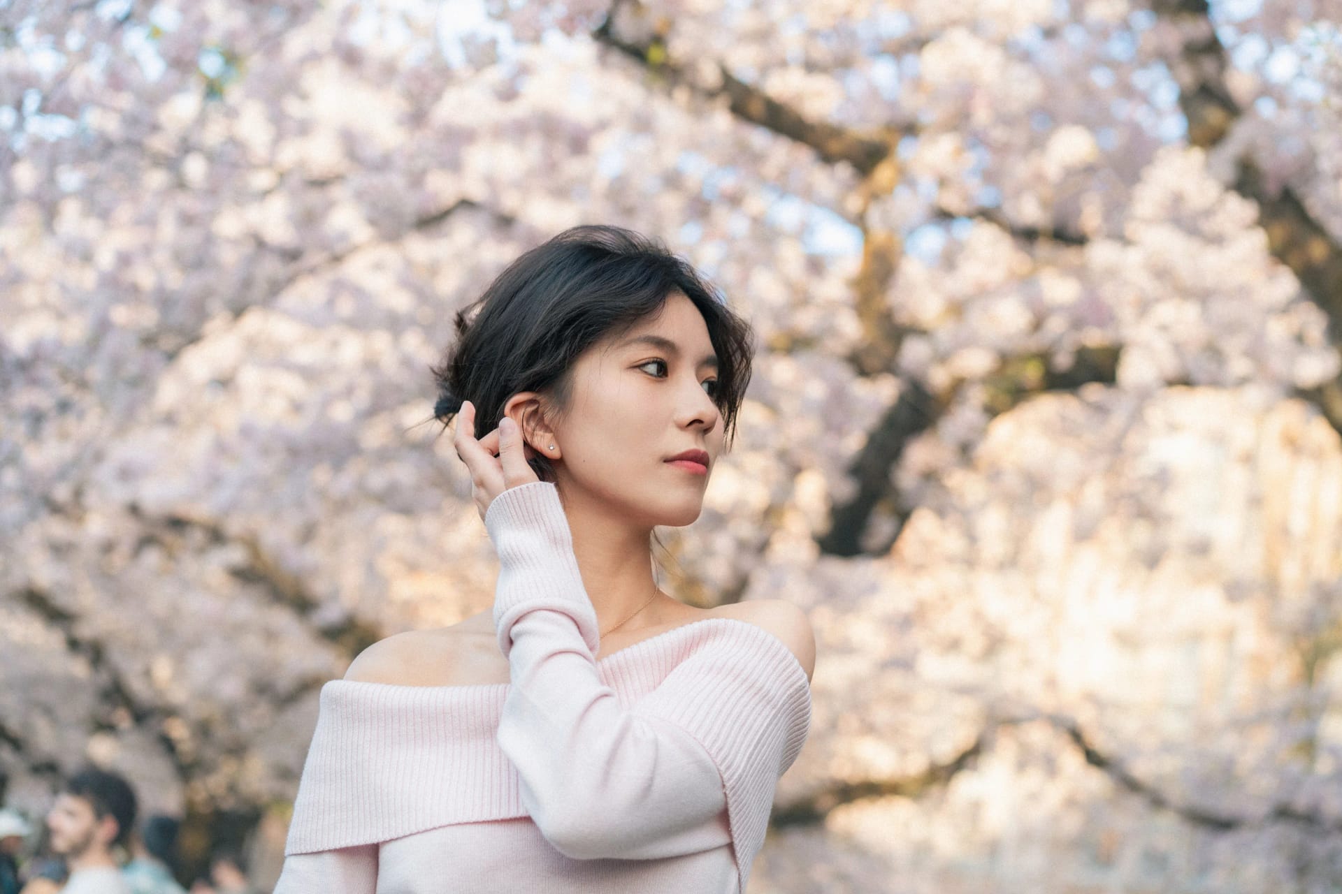Cherry Blossom - Image 8