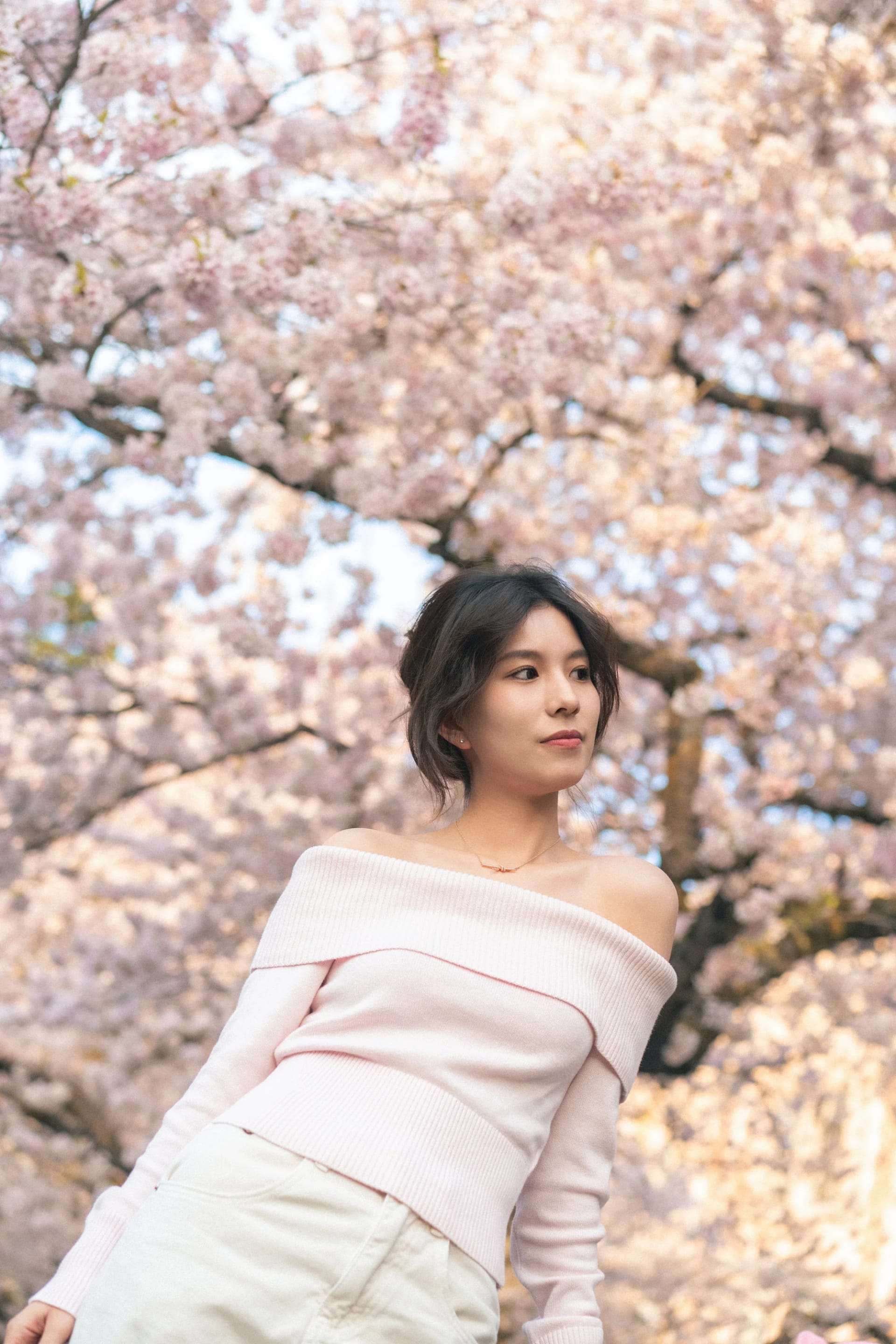 Cherry Blossom - Image 9