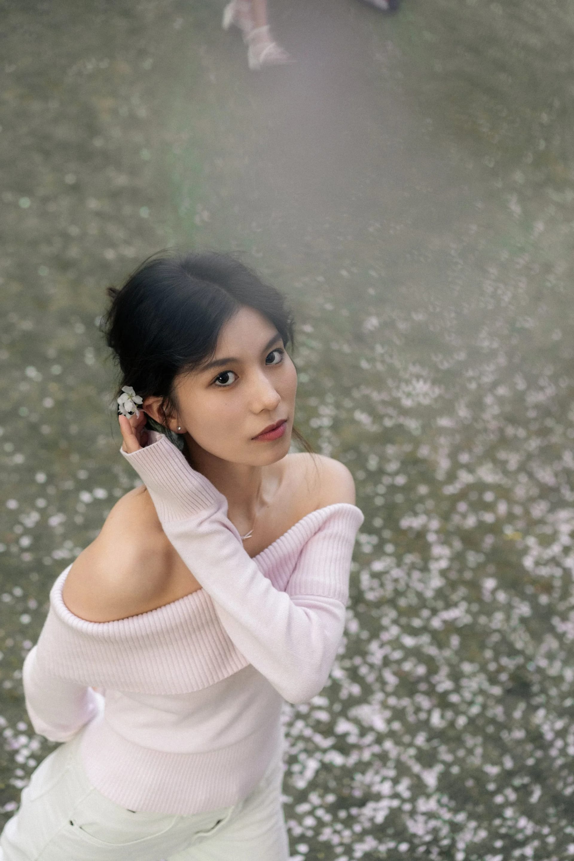 Cherry Blossom - Image 10