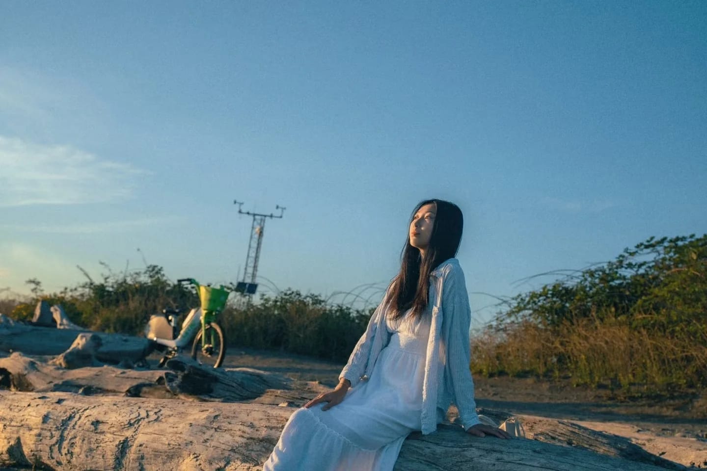 A woman seated on shoreline rocks beneath the evening sky