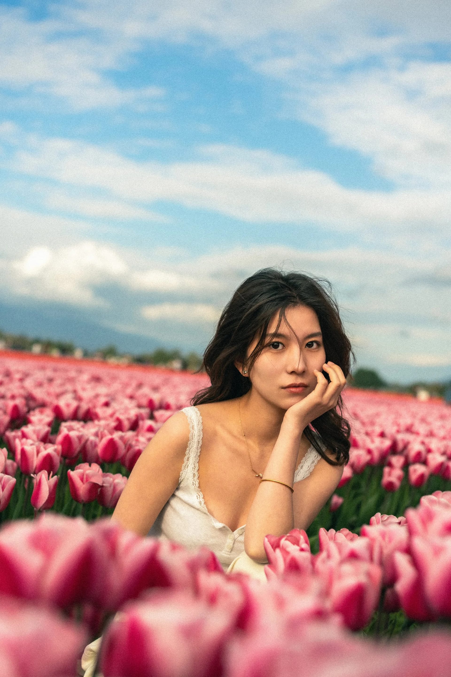 Tulip - Image 8
